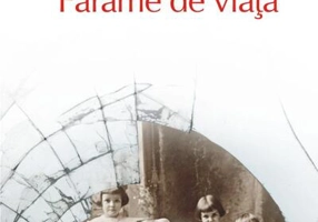 Fărâme de viață (Top 10+)