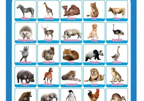 Poster Interactiv în Limba Engleză - Animale