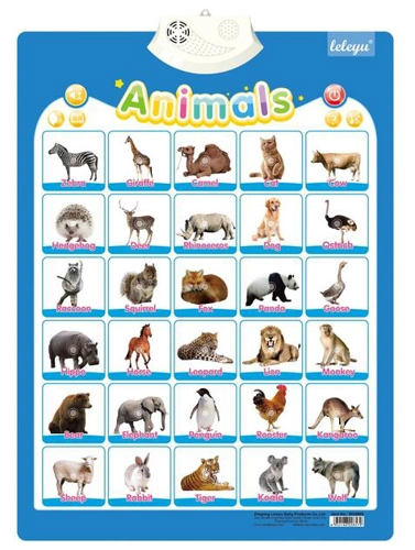 Poster Interactiv în Limba Engleză - Animale