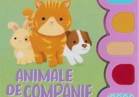 Sunete și senzații tactile. Animale de companie