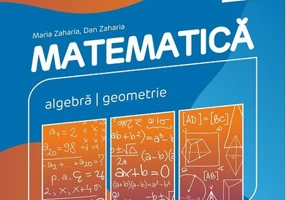 Matematică. Algebră, geometrie. Clasa a VI-a. Consolidare. Partea a II-a