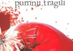 Un boxer cu pumnii fragili