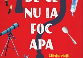 De ce nu ia foc apa?