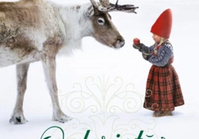 O dorință de Crăciun - HC