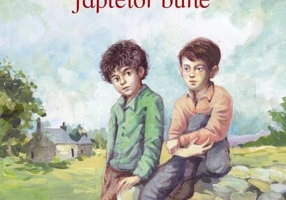 Doi băieți în căutarea faptelor bune