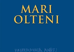 Mari olteni