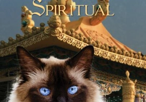 Pisica lui Dalai Lama și cele patru lăbuțe ale succesului spiritual