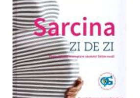 Sarcina zi de zi - Maggie Blott, Radu Vladareanu