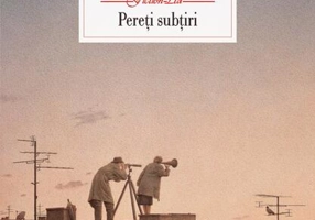 Pereţi subţiri