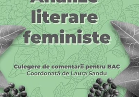 Analize literare feministe