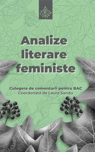 Analize literare feministe