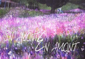 În amonte / En amont (română-franceză)