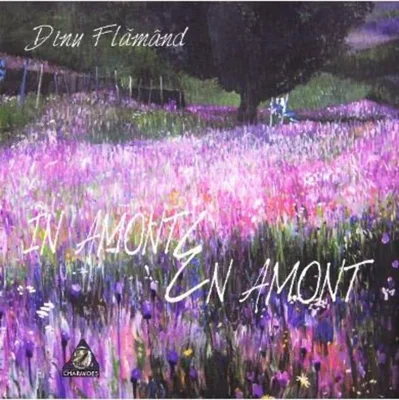 În amonte / En amont (română-franceză)