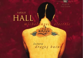 Michelangelo Electric (audiobook)