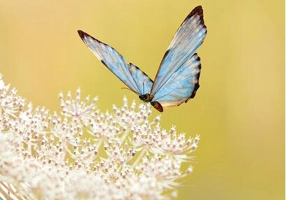 Așa cum ne vorbește Dumnezeu