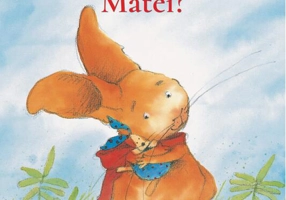 Ce ai făcut, Matei?