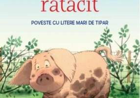 Povești de la fermă. Un purceluș rătăcit. Citesc cu ajutor (Nivelul 1)