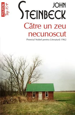 Către un zeu necunoscut (Top 10+)