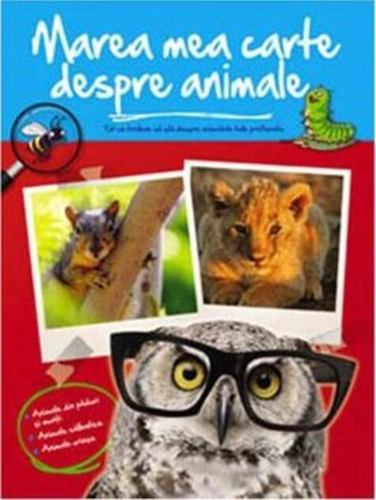 Marea mea carte despre animale. Tot ce trebuie să știi despre animalele tale preferate