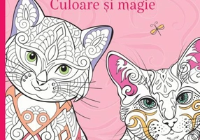 Pisici - Culoare și magie