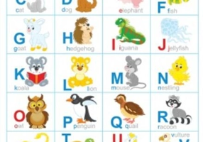 Planșă English Alphabet. Alfabetul animalelor în limba engleză