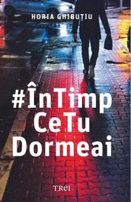 În timp ce tu dormeai