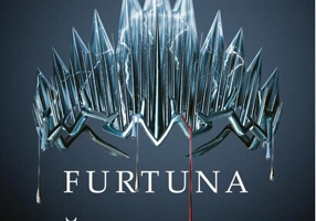 Furtuna războiului (Vol. 4)