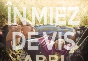 Un vis în miez de vis