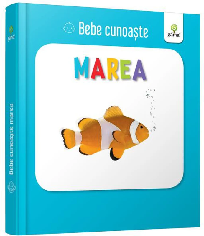 Marea. Bebe cunoaște
