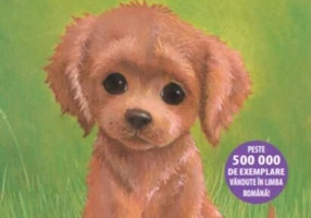 Cățelușa care a fugit de acasă