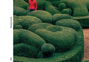 Igloo Nr. 214 Iunie – Iulie 2023