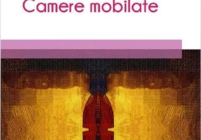Camere mobilate
