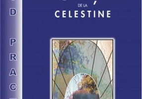 Profeţiile de la Celestine - ghid practic