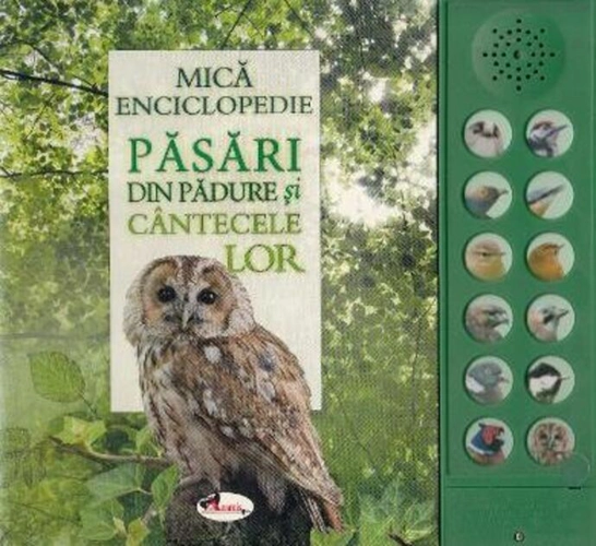 Păsări din pădure și cântecele lor