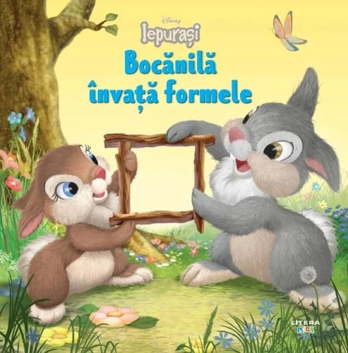 Bocănilă învață formele