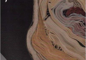 Literatura și valorile