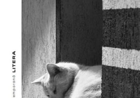 Șapte virtuți deșarte și o păcătoasă moarte