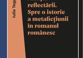 Mirajul reflectării