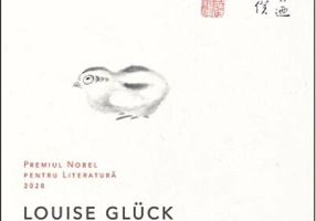 Rețete de iarnă din colectiv