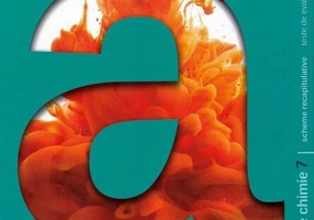 Concentrat de chimie. Clasa a VII-a