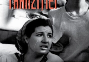 Filmul tranziției. Contribuții la interpretarea cinemaului românesc „nouăzecist”
