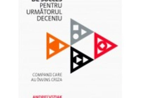 Formule de succes pentru următorul deceniu. Companii care au învins criza
