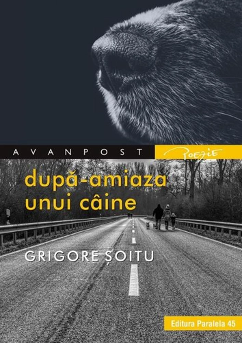 După-amiaza unui câine