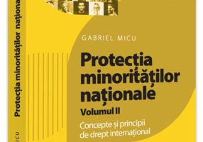 Protecția minorităților naționale (Vol. 2)