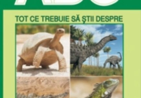 Tot ce trebuie să știi despre reptile