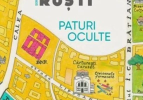 Paturi oculte