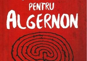 Flori pentru Algernon