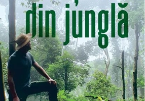 Căzuți din junglă