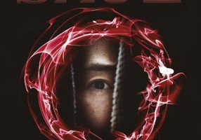 Labirintul diavolului